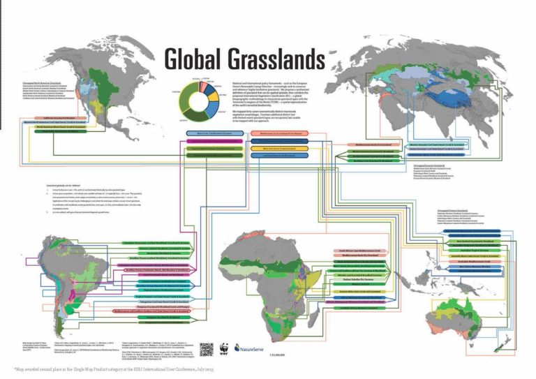 Global Land Use ChangeMapping global grasslands - Global Land Use Change